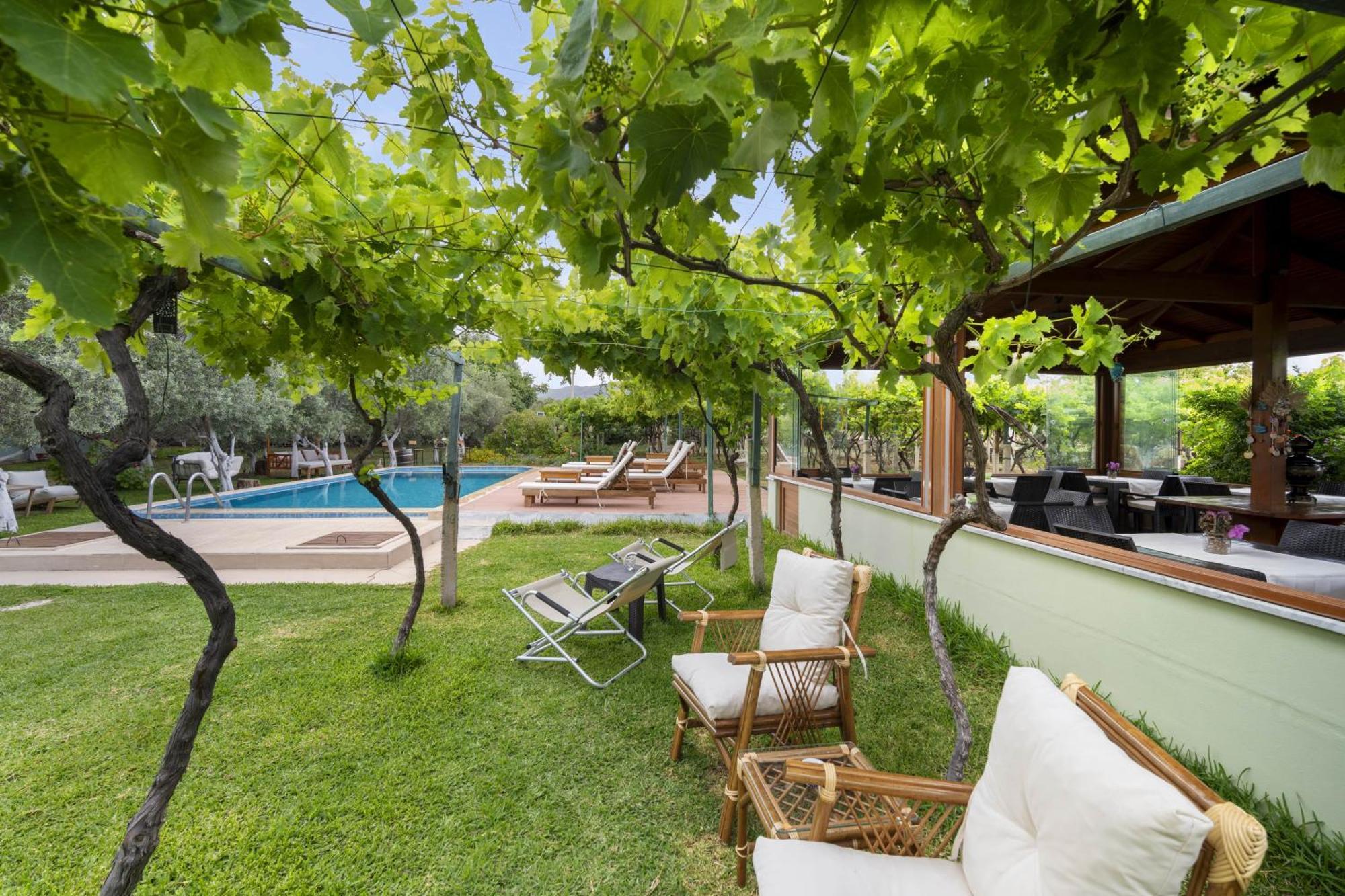 Grape Datca Hotel Kızlanköy Exterior foto